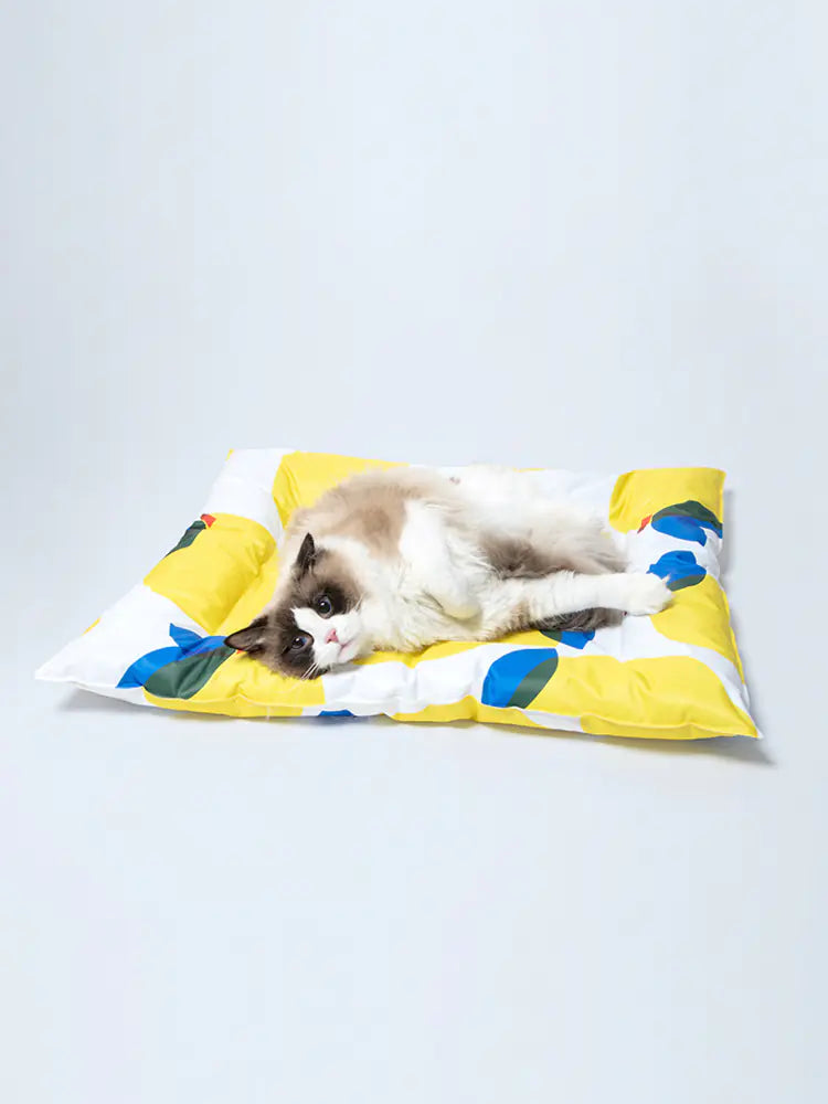 Pet Ice Gel Cooling Sleeping Pad for Dogs