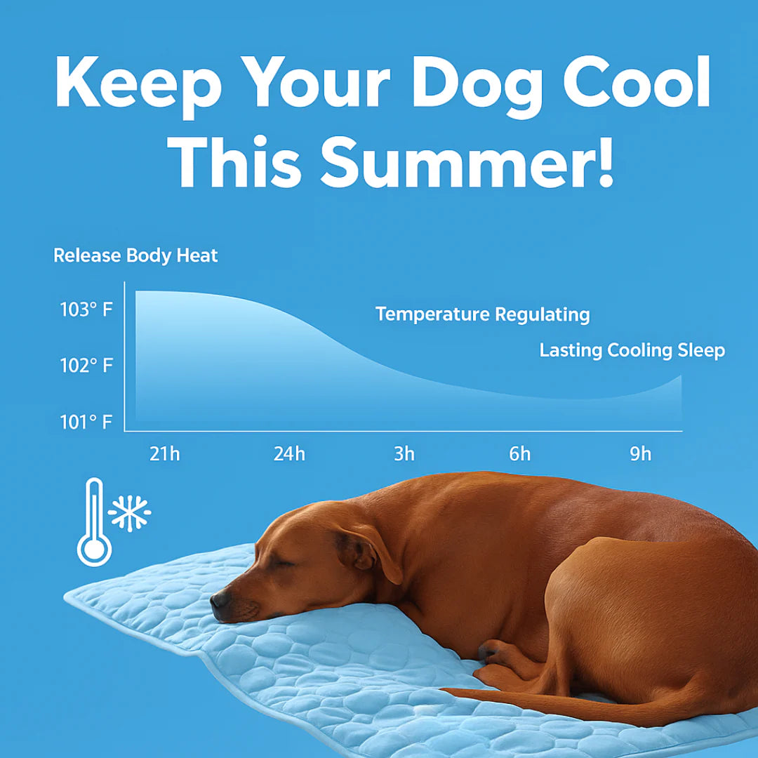 Cooling Summer Pet Mat