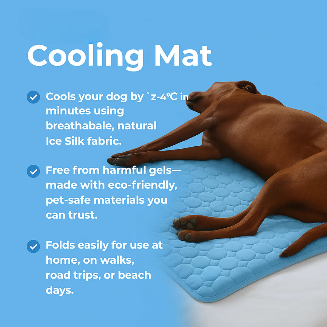 Cooling Summer Pet Mat