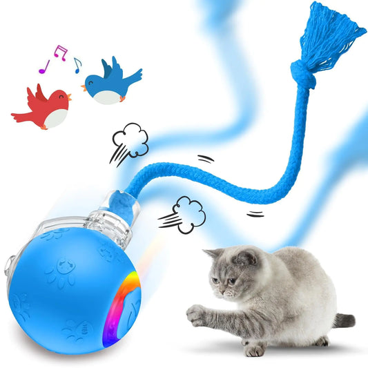 Cat Toys for Indoor Cats Interactive Cat Toy USB Rechargeable Fast Rolling Dog Ball Toy On Rug Bird Chirping & Motion Activated Cat Ball Anti-Depression Pet Toy Fun Gift with Light Blue