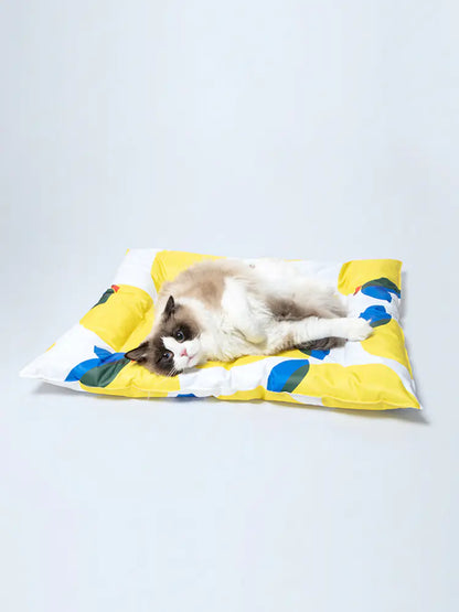 Pet Ice Gel Cooling Sleeping Pad for Dogs