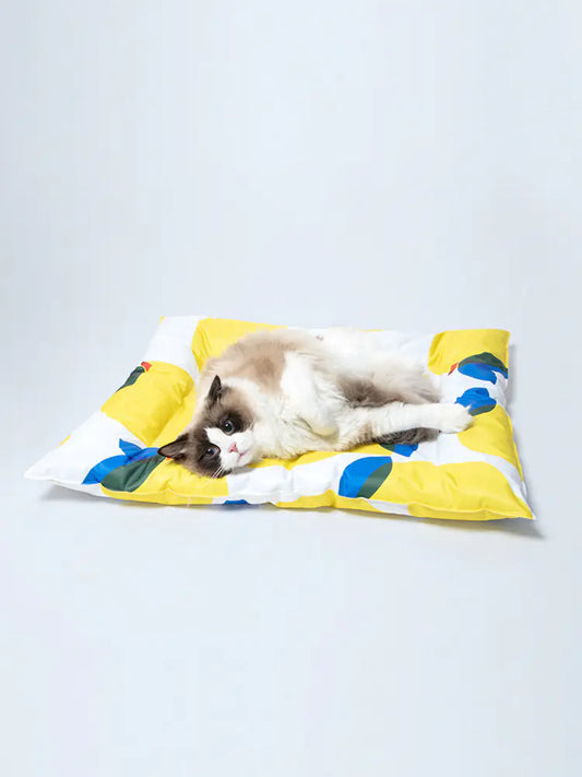 Pet Ice Gel Cooling Sleeping Pad for Dogs