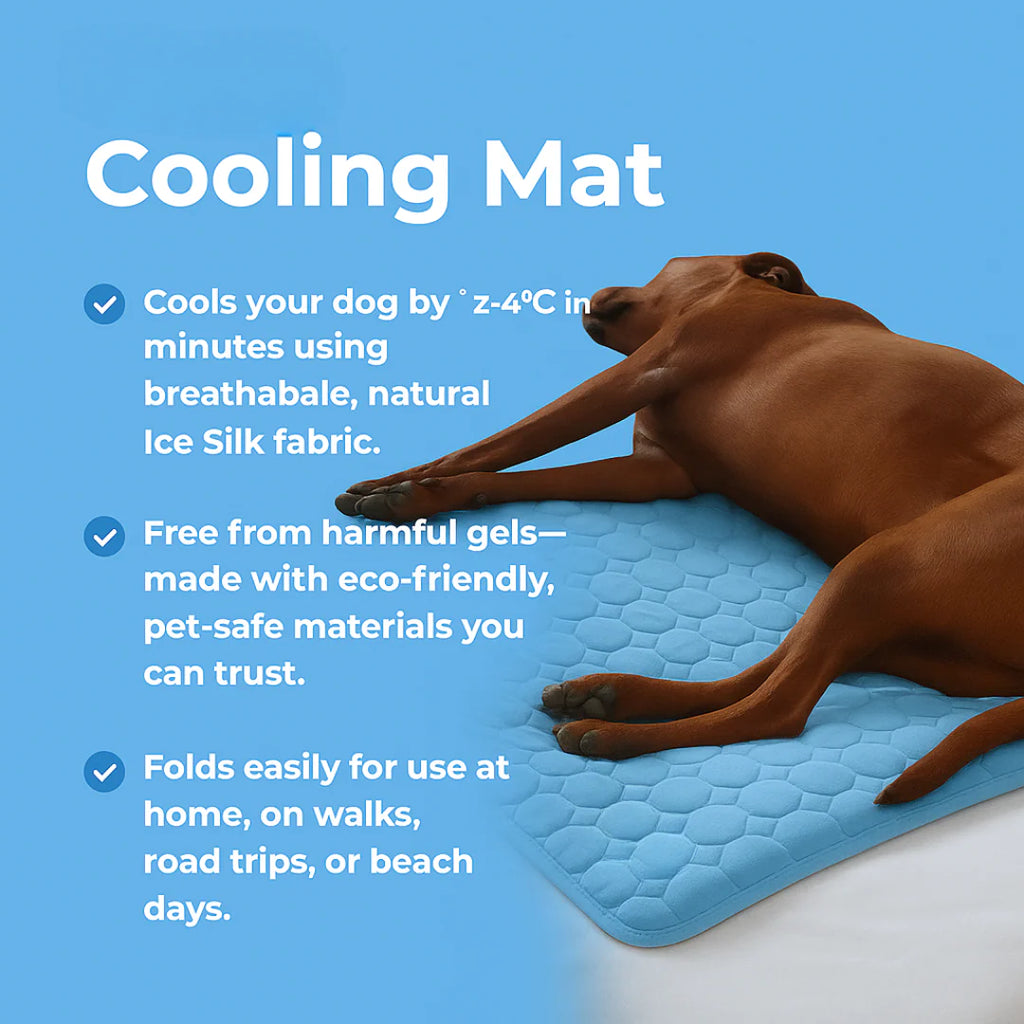 Cooling Summer Pet Mat
