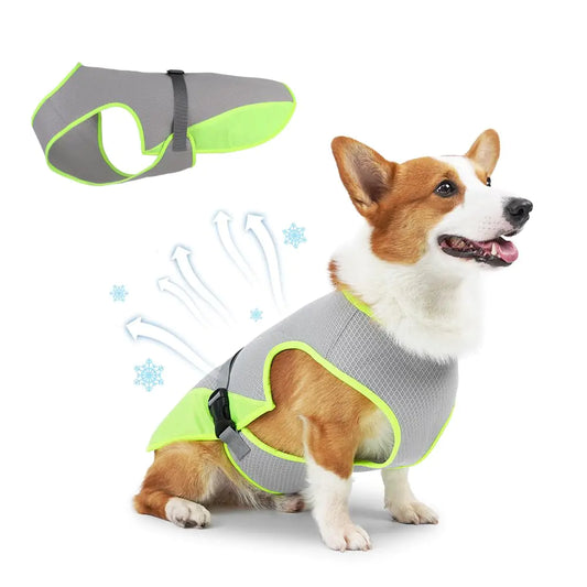 COMFPET Dog Cooling Vest for Summer Lightweight Jacket Dog Cooling Shirt UV Protection Cooling Harness for Outdoor Activity with Breathable Mesh (Green Medium)
