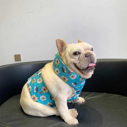 Cooling Ice Scarf for Dogs in Summer