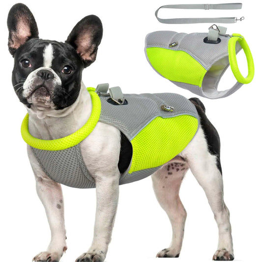 ROZKITCH Dog Cooling Vest with Leash Set Dog Harness Cooler Jacket with V-Ring Lightweight Evaporative Cooling Vests for Summer Hot Weather Outdoor Hiking Walking Camping Training Hunting Grey S