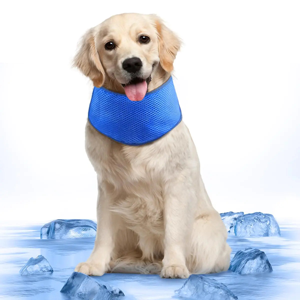 COMFPET Dog Cooling Bandana Instant Cooling Pet Scarf for Summer Hot Weather Adjustable Breathable Reusable Scarf for Outdoor and Indoor Use Avoid Heat Stroke Medium(Blue)